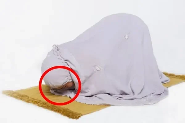 hukum sujud atas telekung - BeDaie